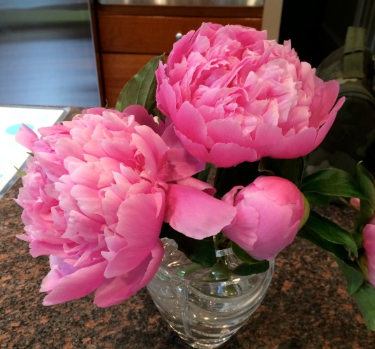 peonies